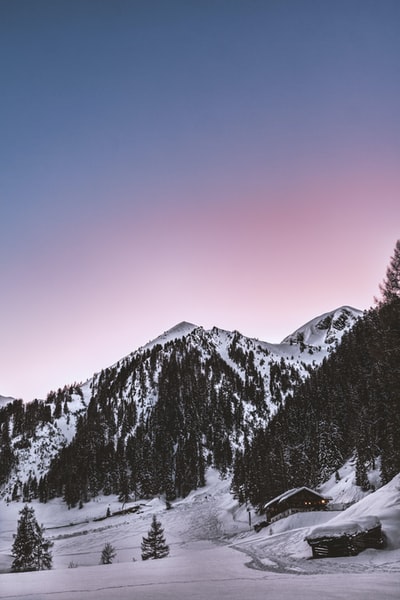 山上的房子被雪和松树覆盖着